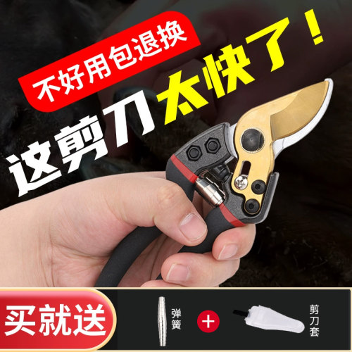修羊剪刀猪蹄钳子兽用脚趾指甲