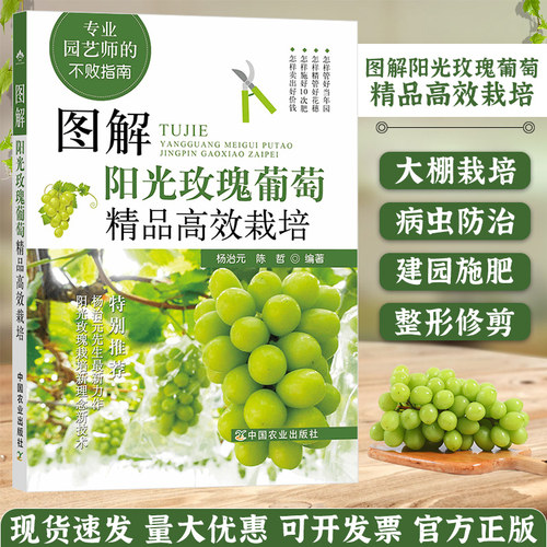 图解阳光玫瑰葡萄精品高效栽培
