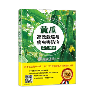有视频农业书籍黄瓜高效栽培与病虫害防治彩色图谱农业种植技术大全书农药知识大全农作物农用链霉素现代大棚蔬菜作物育种学种植业