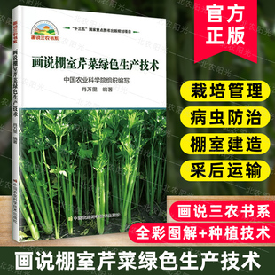 画说棚室芹菜绿色生产技术 大棚蔬菜种植技术大全蔬菜种植书籍大全蔬菜病虫害防治蔬菜病虫害诊断与防治农业书籍