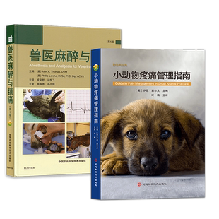 套装  兽医麻醉与镇痛 小动物疼痛管理指南 疼痛管理的实用信息 疼痛疗法 疼痛治疗药物 病例示例