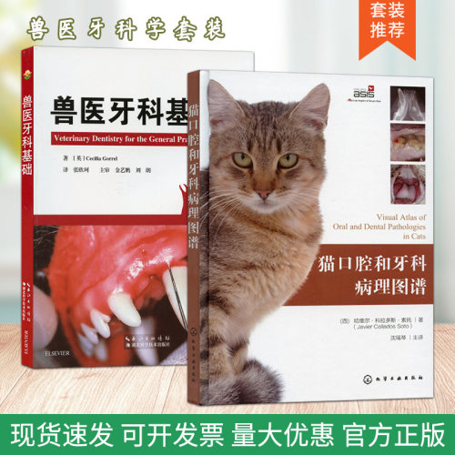猫口腔和牙科病理图谱兽医牙科基