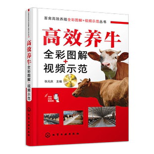 正版书籍 高效养牛全彩图解+视频示范 张元庆 农业院校用书 肉牛养殖生产者管理技术人员养牛技术咨询人员基层兽医工作者使用