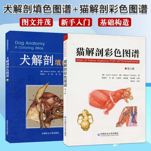 猫解剖彩色图谱+犬解剖填色图谱 套装两本 猫解剖书籍 犬解剖书籍 犬猫解剖书籍 犬猫解剖医学书籍