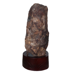 水玉冰魄天然树化石摆件 印尼木化石原石摆饰树化玉硅化木炭化