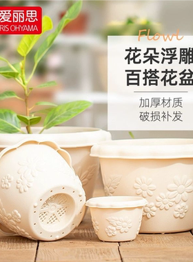 爱丽思花盆中钵圆形控根创意绿萝多肉兰花盆仿瓷树脂塑料爱丽丝盆