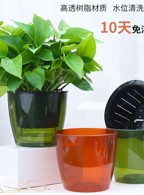 圆形透明懒人自吸水花盆种绿萝多肉塑料树脂简约储水室内盆栽花盆