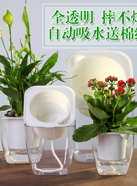 透明懒人自动吸水花盆树脂塑料方形花盆绿萝种植水培植物储水花瓶