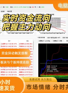 主力资金实时监控通达信联动捕捉每分钟流向自选异动预警软件神器