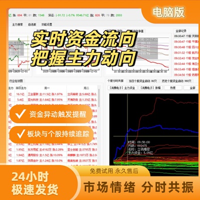 主力资金实时监控通达信联动捕捉每分钟流向自选异动预警软件神器