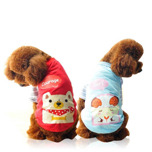 Собачья одежда весенний костюм плюшевый щенок Bie Golden Hair щенки домашние животные, два фута четырехфут, VIP -свитер, осень и зима