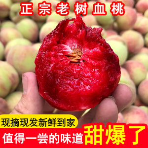 新鲜现摘桐柏季朱砂红血桃红肉中华血桃5斤红心胭脂红血桃水蜜桃