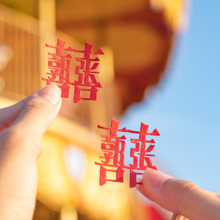 七柒剪纸姓氏双喜囍字定制领证结婚跟拍订婚手作装饰礼物喜庆纪念