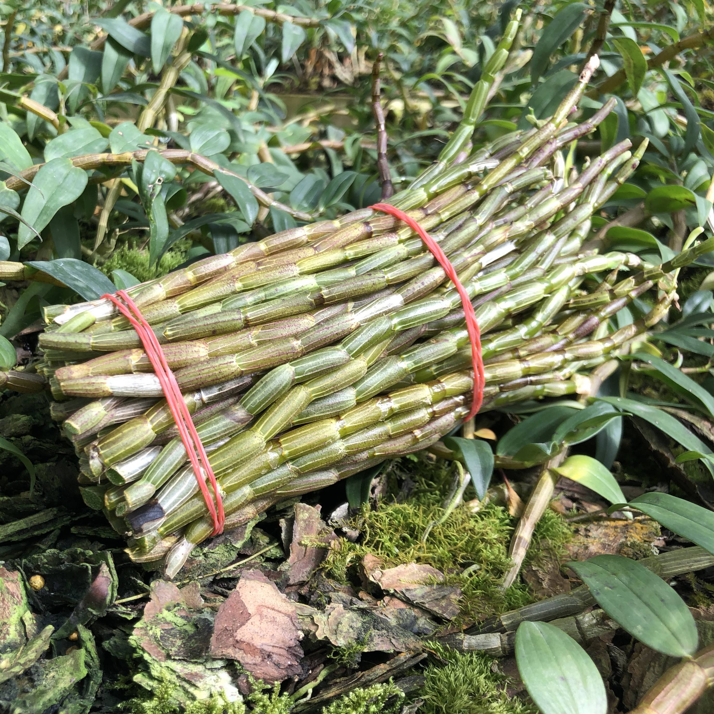 云南省腾冲高原仿中药材新鲜铁皮石斛枫斗泡茶干花500克包邮