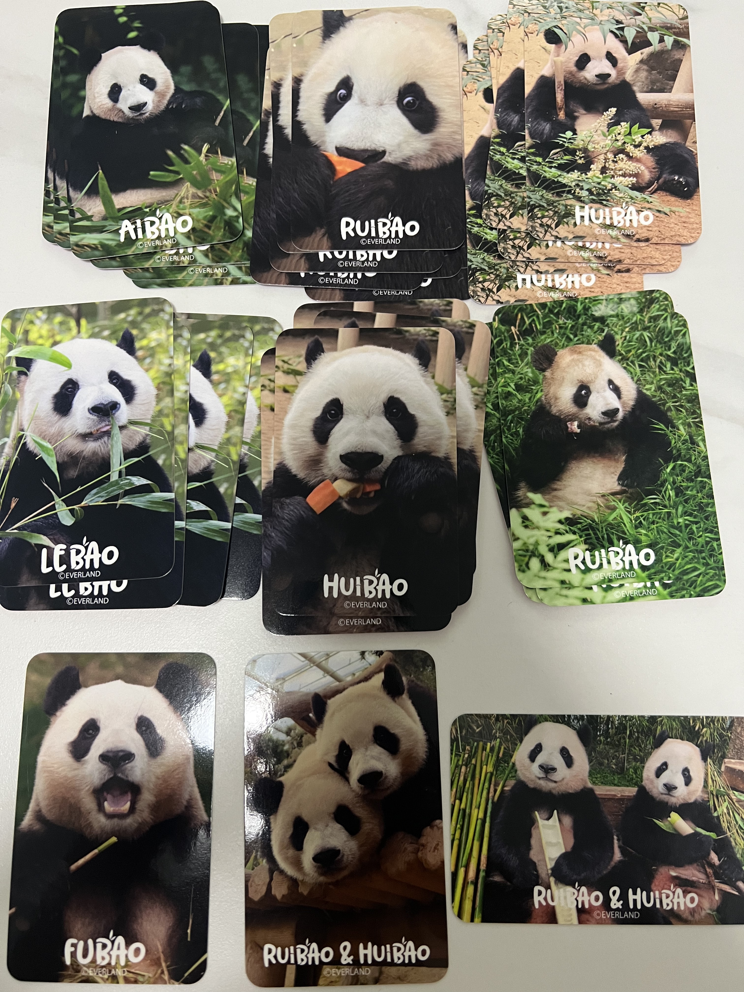 现货/包邮爱宝乐园福宝周边福宝小卡福宝幸福小卡熊猫福宝小卡