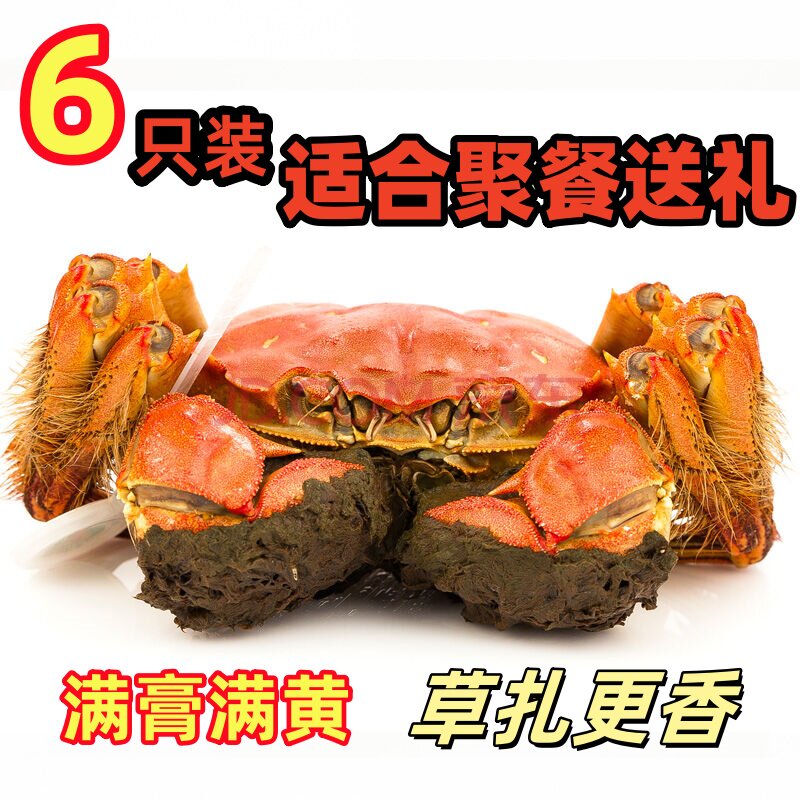 现货包邮精品挑膏大闸蟹螃蟹鲜活蟹特大公蟹4两超大母蟹3两