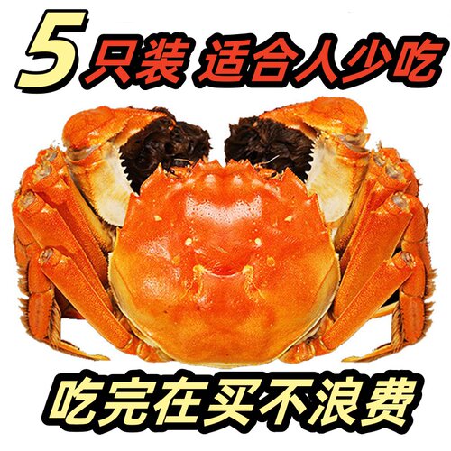 现货包邮大闸蟹5只大全母膏黄满