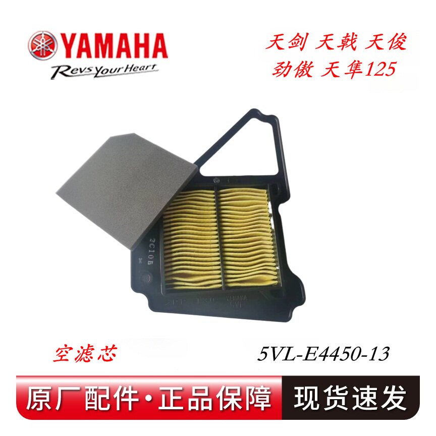 原厂雅马哈空滤JYM125-2/3天剑天戟劲傲天俊天隼空气滤芯空滤总成