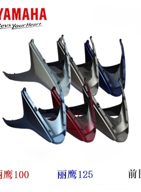 雅马哈ZY125T-3丽鹰125T前围ZY100T-3丽鹰100T前鱼嘴 前围 前大包