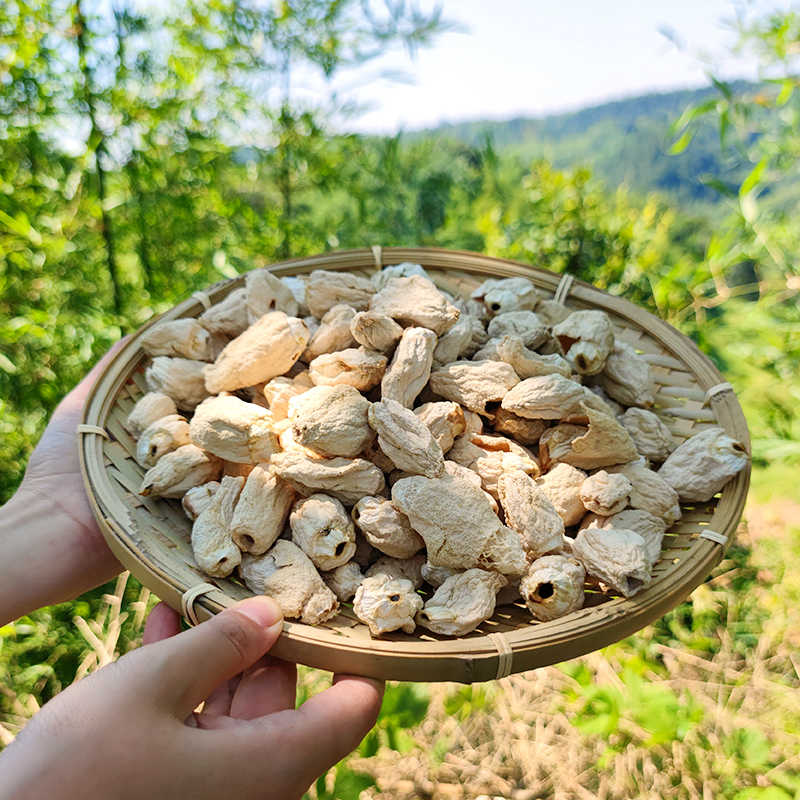 竹胎儿 竹梦荪新货四川宜宾蜀南竹海特产全竹宴 长宁优质干货100g