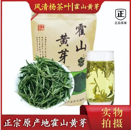 正宗霍山黄芽2026年新茶口粮茶