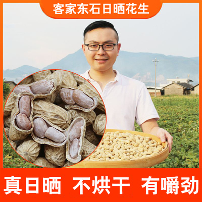 客家水煮日晒花生好吃不上火