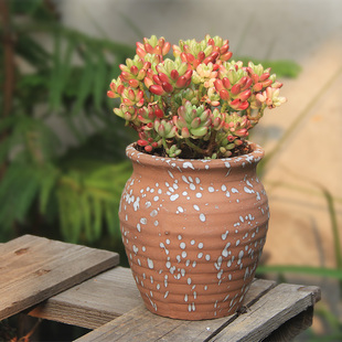 多肉花盆方盆造型粗陶瓷流釉面宜兴紫砂出口韩国桌面创意老桩桌面