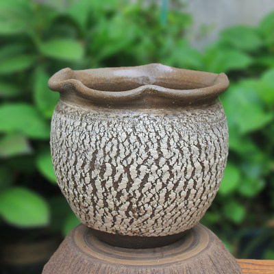 多肉植物花盆 价格 图片 淘宝天猫多肉植物花盆优惠商品大全 高价排行榜 虎窝淘