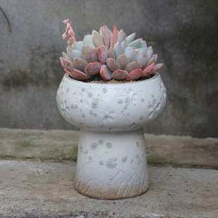 多肉花盆火锅款搭配群生手捧群单头粗陶造型透气创意简约桌面花器