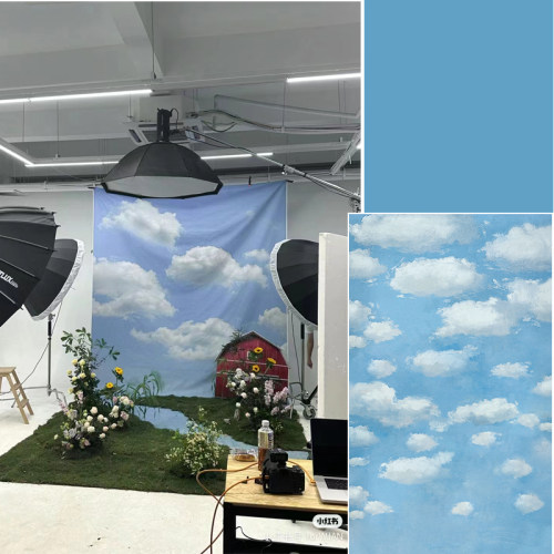 商拍手绘蓝天白云拍照摄影背景布莫奈手绘天空摄影背景纸影楼背景