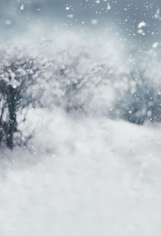 冬天雪景影楼摄影写真古装主题雪景拍照背景纸影楼
