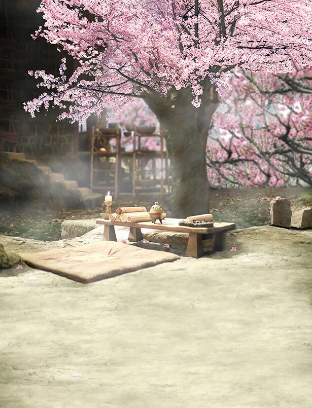 三生七世影楼摄影古装背景布 古装主题写真 写真古装背景布