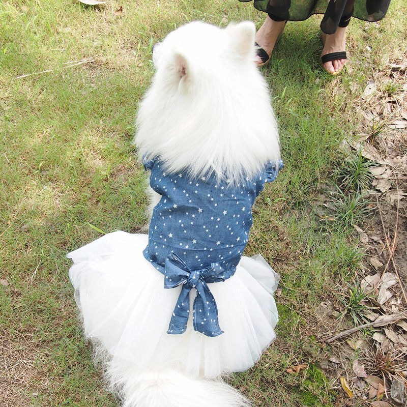 牛仔棉公主裙中大型犬金毛