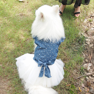 中型犬宠物公主裙牛仔裙蕾丝纱裙萨摩银狐金毛拉布拉多春夏秋裙子