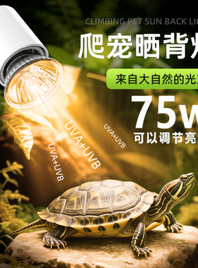 新款乌龟晒背灯爬宠取暖加热太阳灯补钙陶瓷灯泡蜥蜴芦丁鸡保温灯