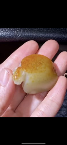新疆籽料撒金皮满皮龙龟收藏送礼