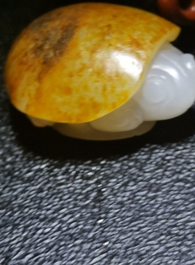 新疆和田籽料 洒金皮小乌龟 一级老熟 油糯 呆萌可爱 龟背高隆