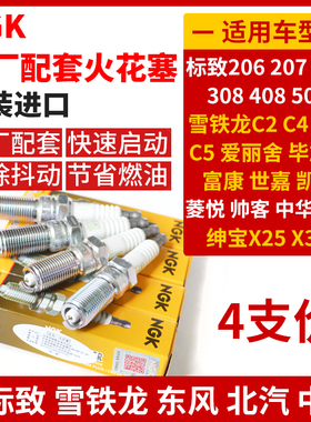 NGK适配标致206207307408绅宝X25X35雪铁龙C2 C4爱丽舍世嘉LZFR5F