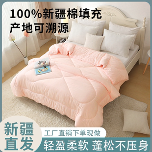 磨毛被芯新疆棉花被子棉絮垫背褥子
