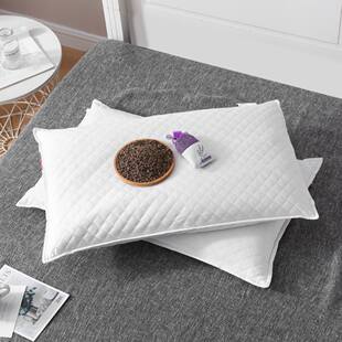 定位枕芯成人全荞麦壳枕头芯护颈椎枕单人记忆枕酒店稻壳谷决明子