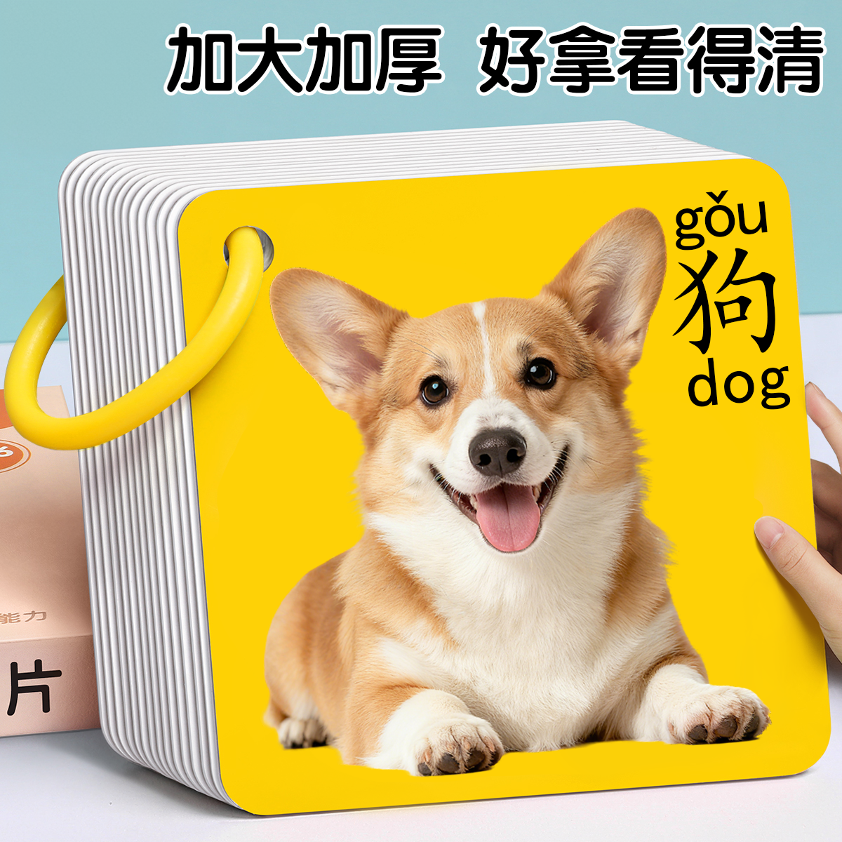 动物卡片认知早教儿童识字看图识物启蒙书婴幼儿宝宝一岁益智玩具,玩具/童车/益智/积木/模型,玩具挂图/认知卡,淘宝优惠券,粉丝福利购,淘宝优惠卷