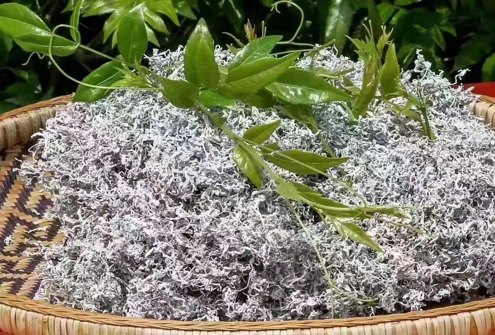 包邮正品张家界特级野生芽尖龙须茶长寿藤茶土家甘露茶养生莓茶