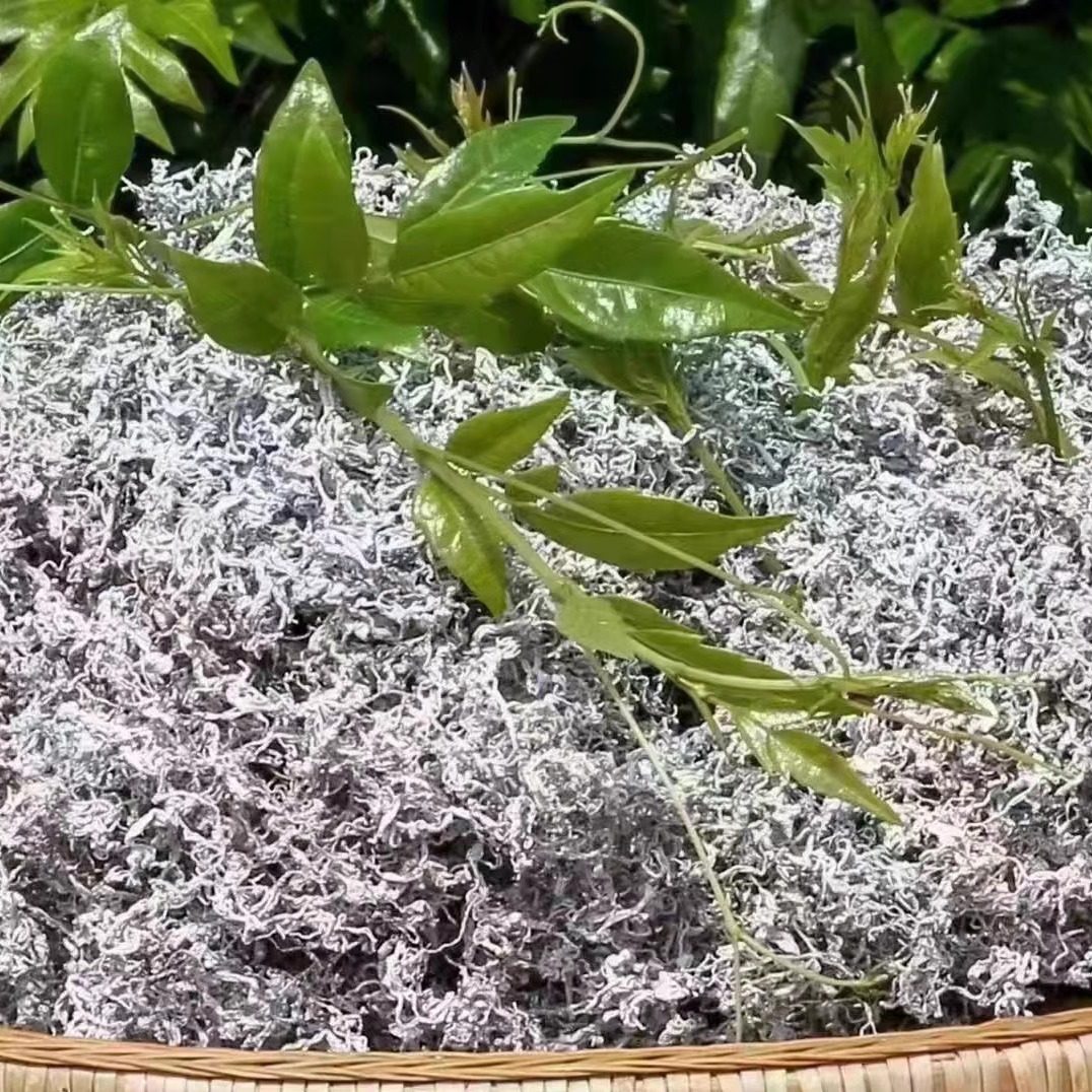 包邮正品张家界特级野生芽尖龙须茶长寿藤茶土家甘露茶养生莓茶