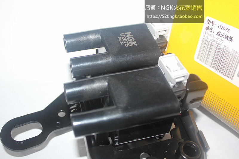 赛拉图i30狮跑秀儿2.0LNGK高压包