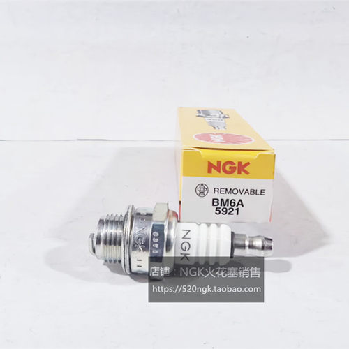 日本NGK火花塞BM6A对应5843CJ6Y