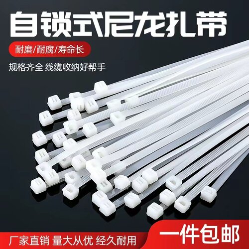 自锁式白色扎线带尼龙扎带