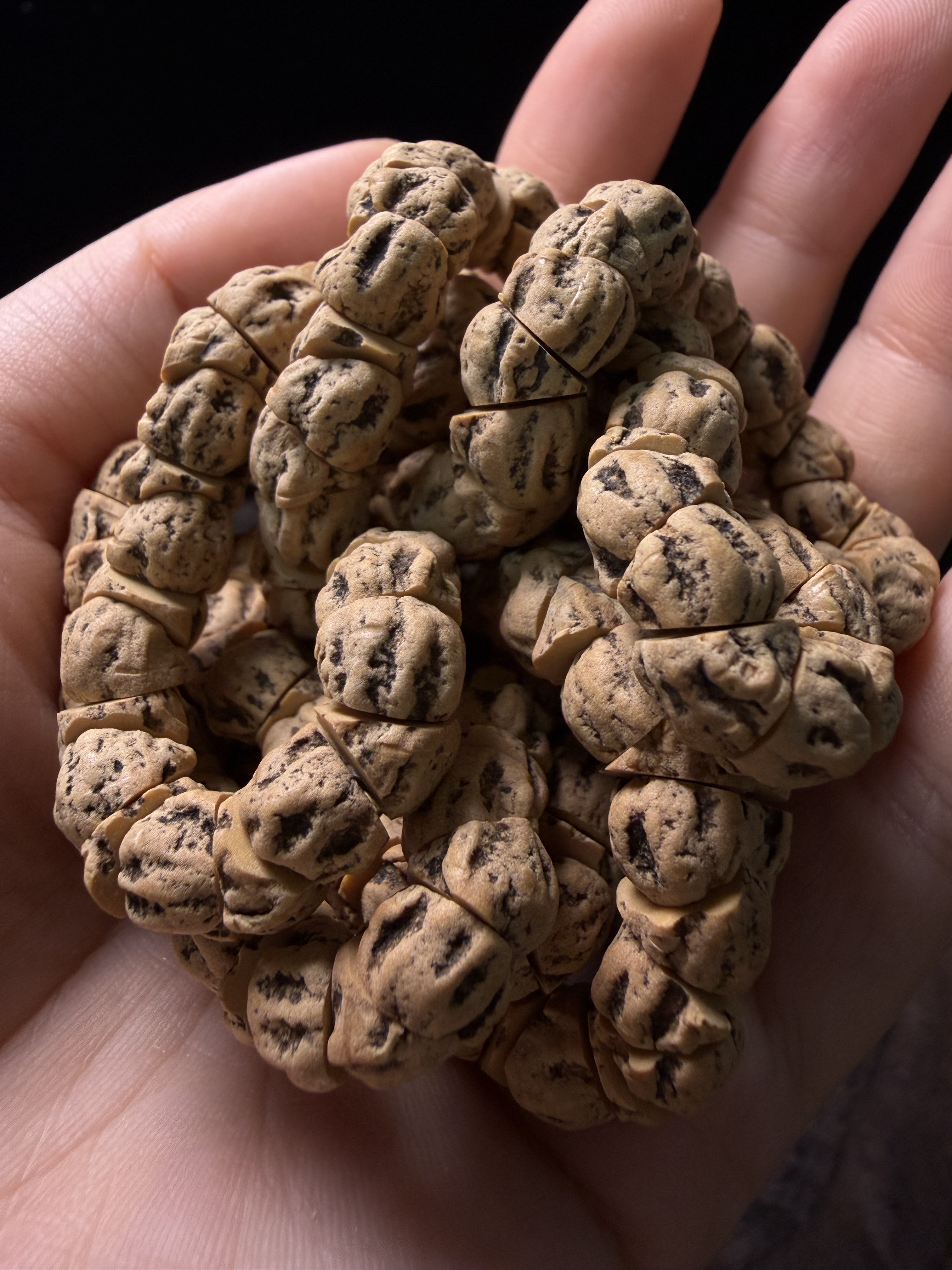H热振柏香籽深坑鬼脸猪大肠手搓大肠麻皮黄油皮挂脖长串藏区