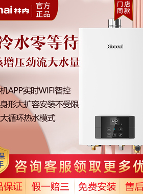 Rinnai/林内RUS-R16E51G-CB燃气热水器内置循环零冷水JSQ31-R51GC
