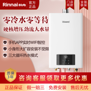 CB燃气热水器内置循环零冷水JSQ31 R16E51G R51GC 林内RUS Rinnai