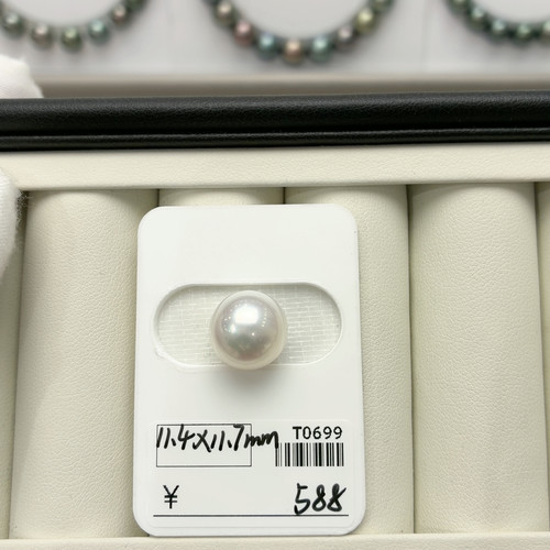 T0699